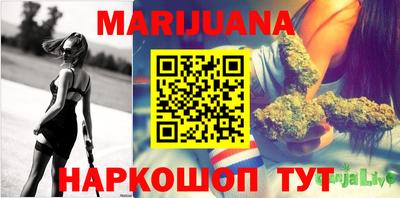 крисы Кунгур