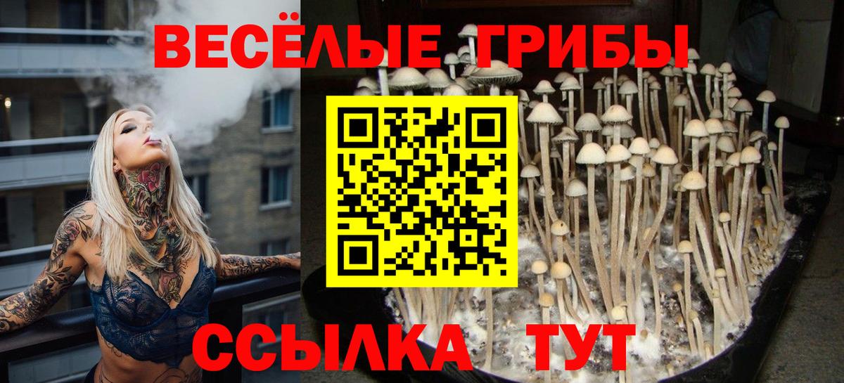 Ишим  Галлюциногенные грибы ЛСД  Вход с VPN 